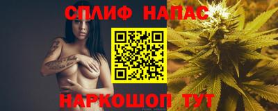 тгк Славгород
