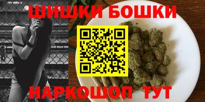 тгк Славгород