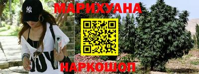 тгк Славгород