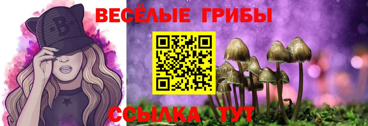 Галлюциногенные грибы GOLDEN TEACHER Мытищи