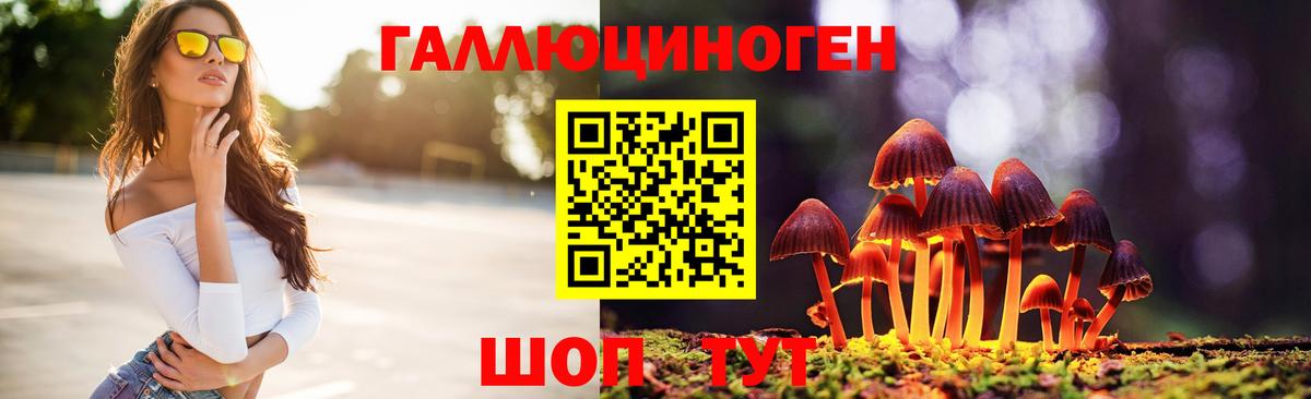 купить наркоту  Галлюциногенные грибы MAGIC MUSHROOMS  Вход с VPN  Галлюциногенные грибы Psilocybine cubensis  Мытищи 